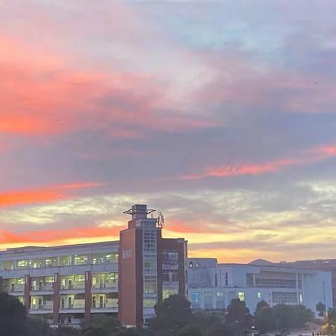 “砥砺青春，与梦同行”2022年上半年优秀学生干部宣传展示