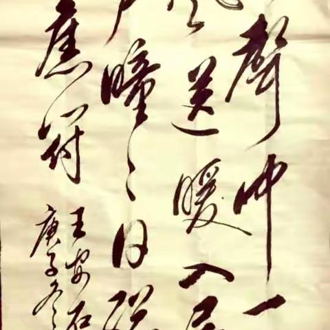 大城县西留各庄诗词书画社庚子冬月抗疫迎春书画展