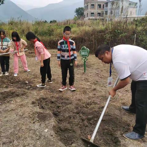 劳动基地，我们来啦！——关水阁完小劳动实践教育