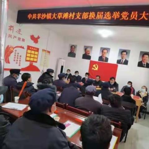 选好"领头雁"，配强"当家人"-------羊沙镇大草滩村圆满完成党支部换届选举工作