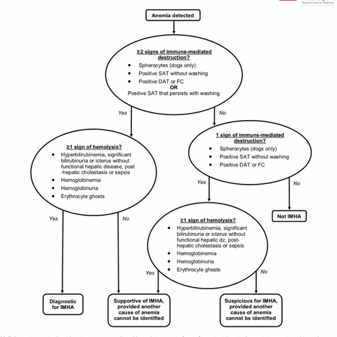 犬免疫性溶血的诊断及治疗
