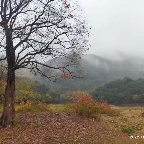 烟雨怪石林