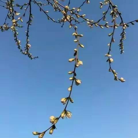 我是摄影师哦