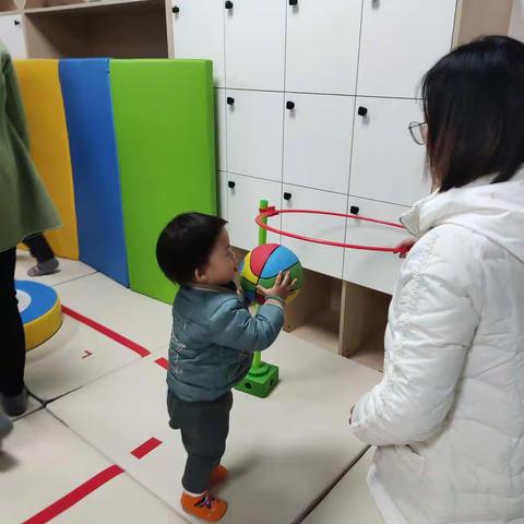 综合1+1 (小兔子乖乖)