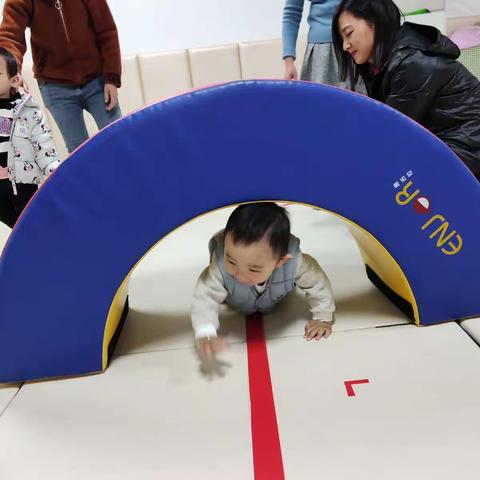 综合1+1    Lily老师