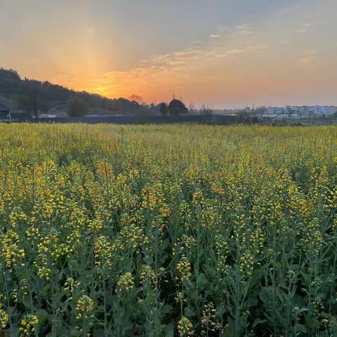 2022-3-18坛下厨房卫生间装修