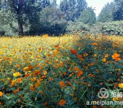 美了，醉了，忍不住照几张。 没有田园风光，山水景色也不错。 打开看看，供朋友分享。