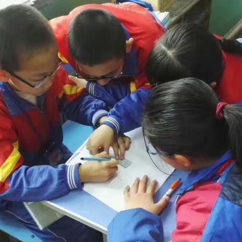 五一班数学综合实践活动进行时