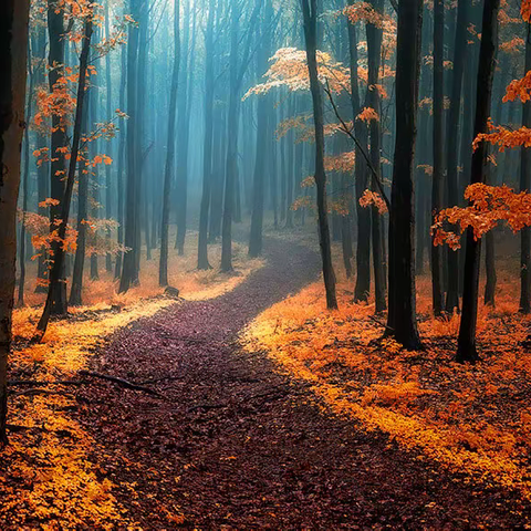 人生拐角处的风景