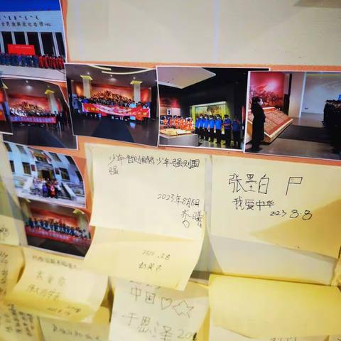 走入“它”的世界—我的2023年暑假生活