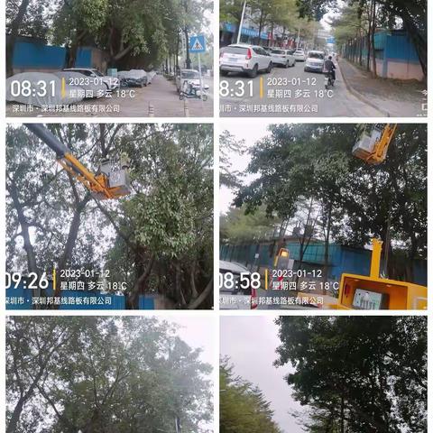 深圳宝安北控城市服务有限公司—沙井街道绿化管养2023年1月9日至1月13日工作周报