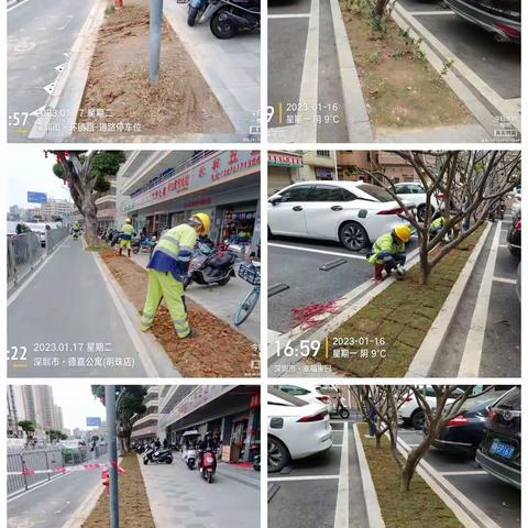深圳宝安北控城市服务有限公司—沙井街道绿化管养2023年1月16日至1月20日工作周报