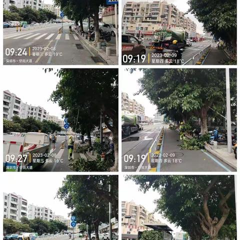 深圳宝安北控城市服务有限公司—沙井街道绿化管养2023年2月6日至2月10日工作周报