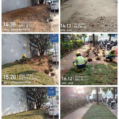 深圳宝安北控城市服务有限公司—沙井街道绿化管养2023年2月27日至3月3日工作周报