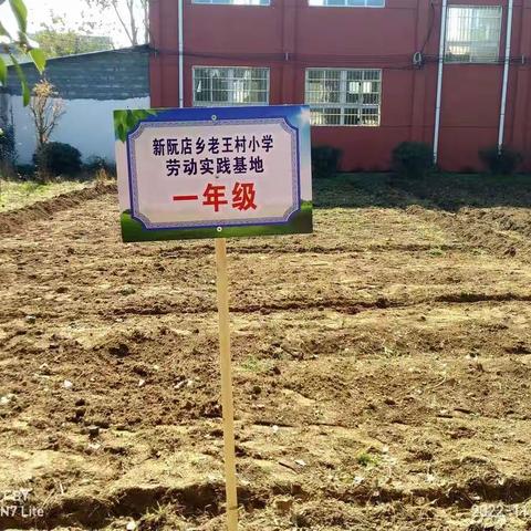 新阮店乡老王小学劳动实践基地“纪实”