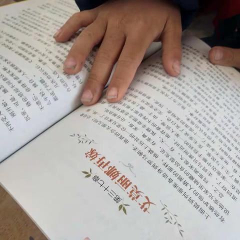 列那狐事故《爱麽丽娜再嫁》