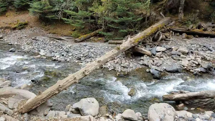 已很少见到的独木桥