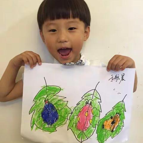 🖌️快乐暑假第六天--七星瓢虫、森林保卫站🖌️