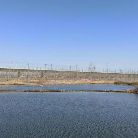 春水