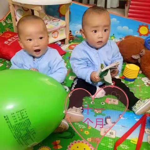 大豆，小豆成长记