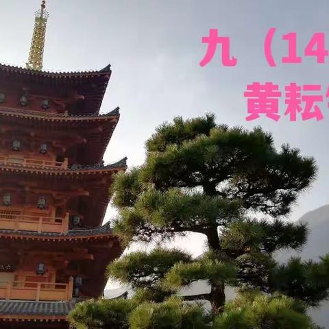 游五镜镇安——密镜金台