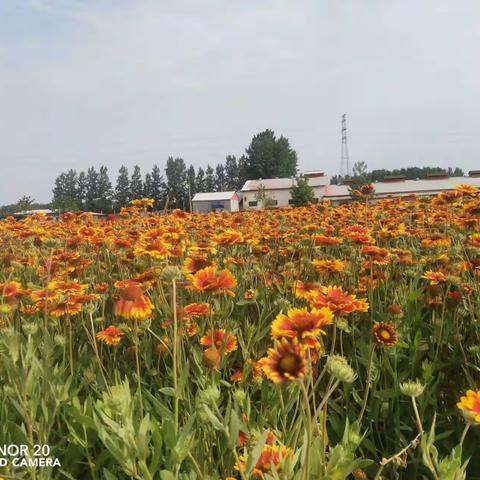 花开正好，不负好时光