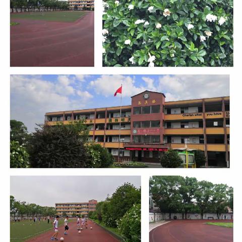 绿树阴浓夏日长 砥砺奋进正当时—洋口小学第三周值周工作总结