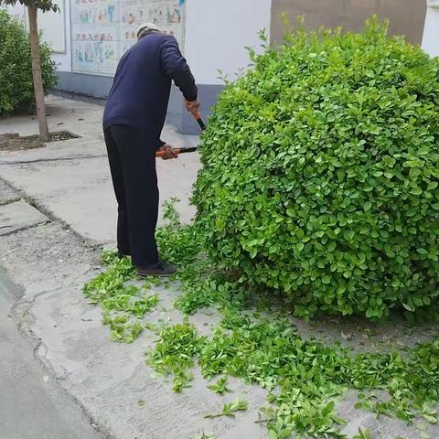 民航路街道着力提升人居环境整治成效