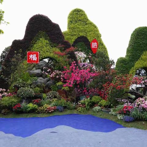 琴亭湖杜鹃花节