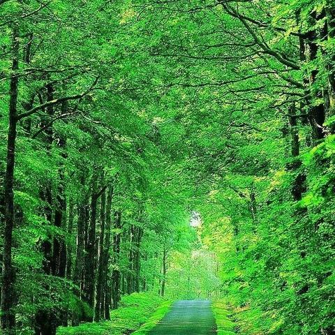 【卫辉城郊乡唐岗完全小学二年级】 漫漫家访路 浓浓师生情