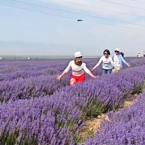 北疆大环线周游记(下集)   主要围绕伊犁地区景点，赛里木、夏塔、昭苏、喀拉峻、巩乃斯、那拉提、巴音和独库公路)