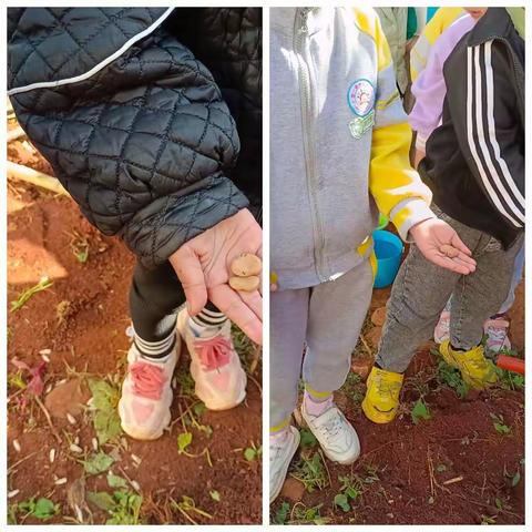 播种希望，收获快乐