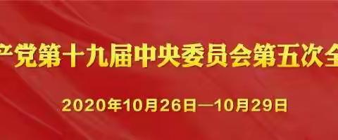 保定市徐水区大因学校开展红领巾看“全会”主题队会