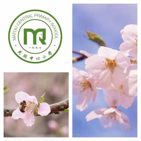 迎着暖风，花香，燕子呢喃，马头镇中心小学第四期精彩社团活动来啦！