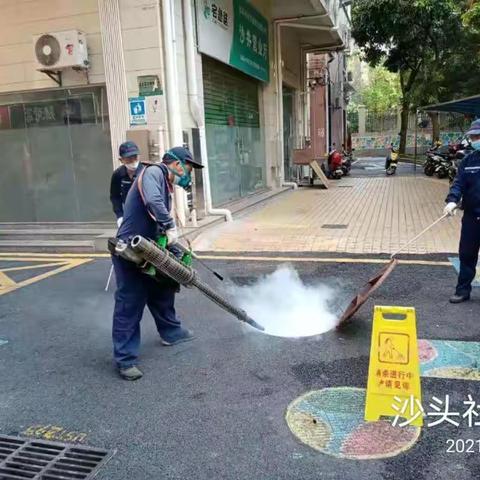 2021年3月25日沙井爱卫简报