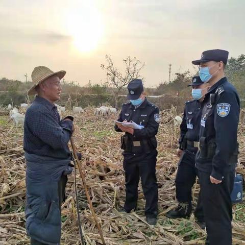 放羊老汉丢羊着急，民警小哥快速寻回