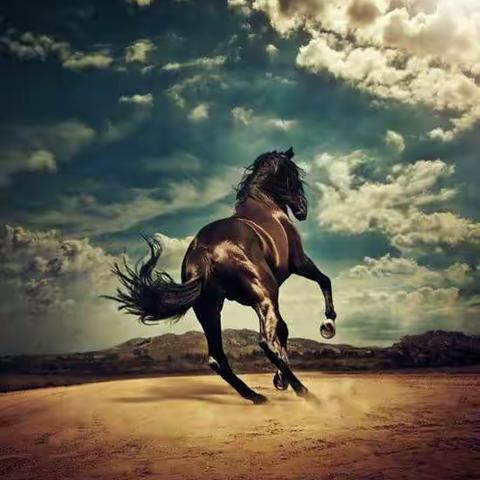 原创诗文：《笔 即天下》                                                        作者：悦凌匠