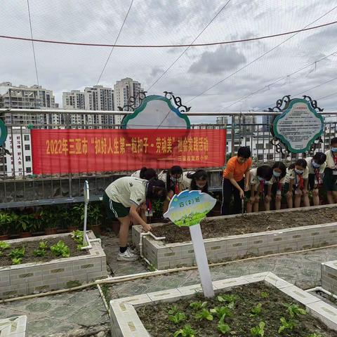 我劳动，我快乐一记三亚市第四小学2022年三亚市“扣好人生第一粒扣子.劳动美”系列活动