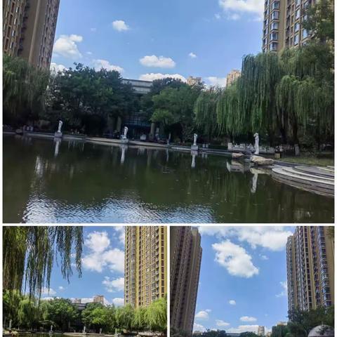 乐宜居御景城九月份第三周周报