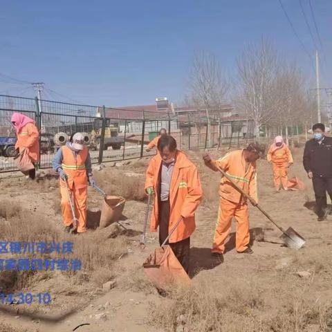 重点整治林带、沟渠环境卫生，全面提升精细化保洁服务质量！