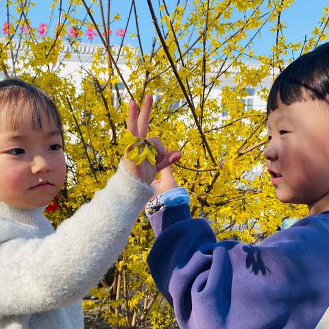 【我和春天有个约会】—吕公堡学区颜村幼儿园