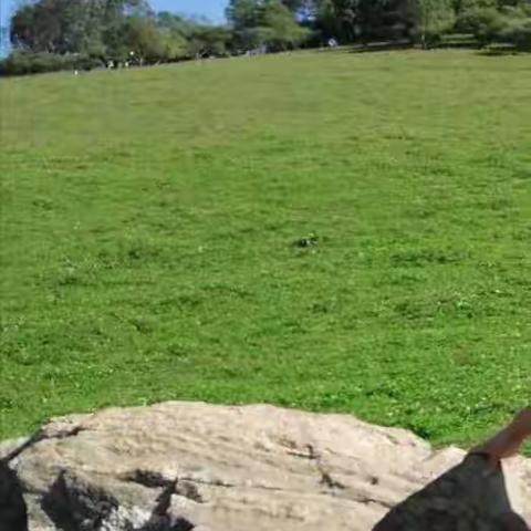 远梦关山牧场（致HY）