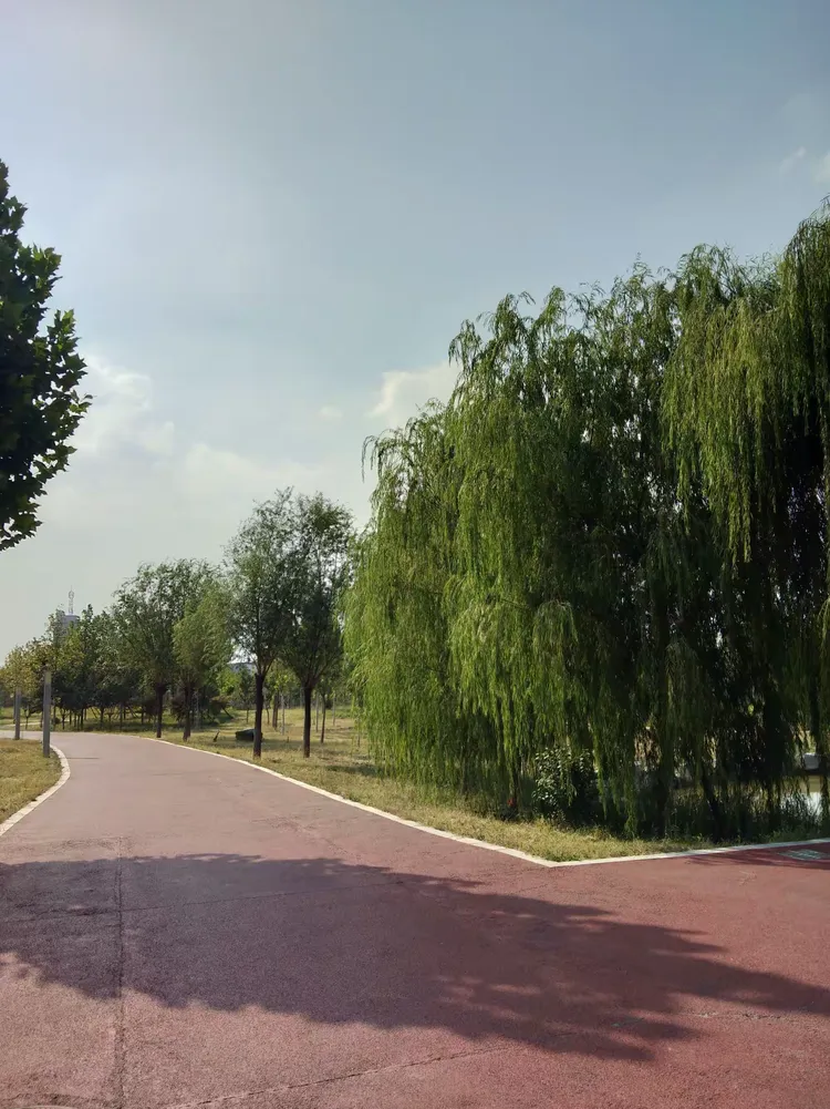 章丘林荫公园