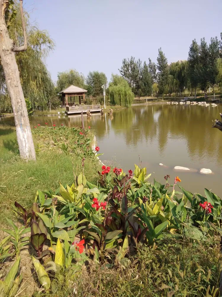 章丘林荫公园