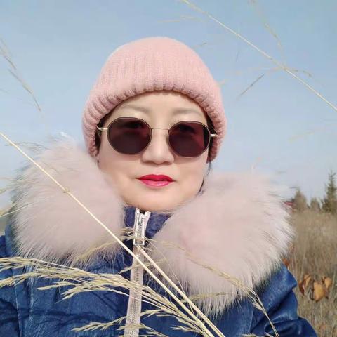 2020年在疫情期间狗狗和家人难忘的回忆录