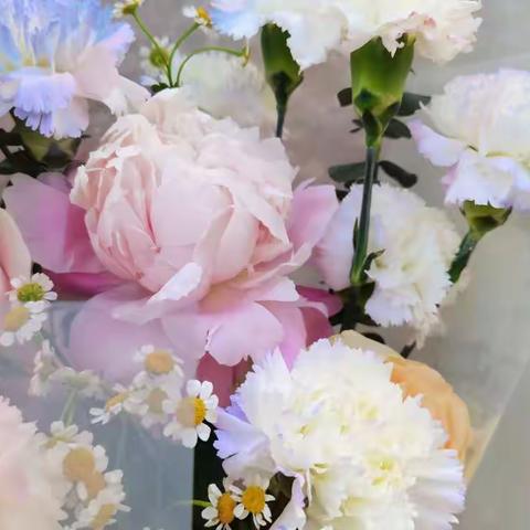 初二八班感恩母亲节活动