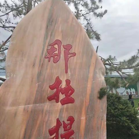 空中的草原――那拉提