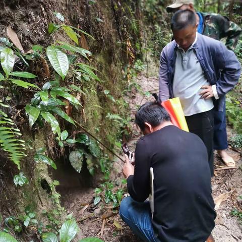 寻找垮土瑶寨和老山战役息息相关故事