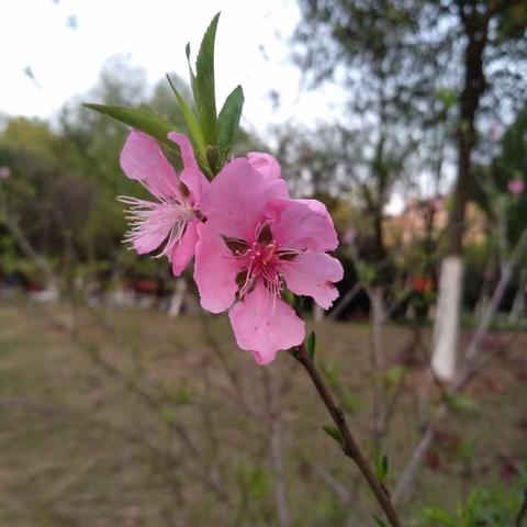 这回宅着，真懂了温敷的重要性（原始点日记182-184）