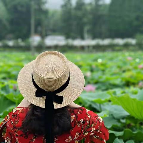 经络血脉是一条河，倒影着日月星辰（原始点日记195-197）